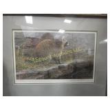 Robert Bateman framed raccoon print signed #d