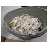 assorted white vintage buttons MANY