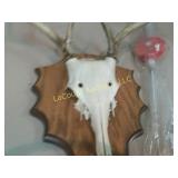 horn w skull mount and fishing jig pole