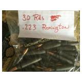 30 rounds .223 Ammo Remington