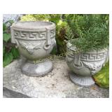 2 concrete planters plant included