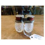 picnic salt n pepper w bakelite tops