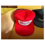 Branded and Graphic Snapback Hats
