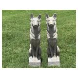 Pr. Pennoyer Newman Egyptian or Pharaoh Hounds