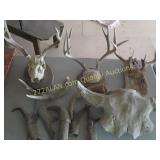 horns, antlers group on top of table
