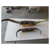 Mounted Horns, some repair on large ones