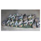 Group of Duck Decoys