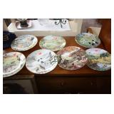 7 Collector Plates