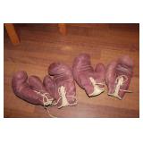 2 Pairs of Boxing Gloves 2 Pairs of Boxing Gloves