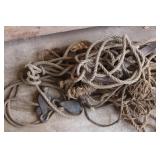 Ropes- Various Sizes, One with Pulley`s Ropes- Various Sizes, One with Pulley`s