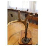 Mounted Antlers with Candle Holder Mounted Antlers with Candle Holder