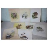 8, 12 x 16 Michael Dumas Prints