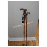 Pair of Walking Sticks