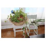 2 Kids Chair with Plants