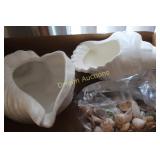 Lovely Sea Shells
