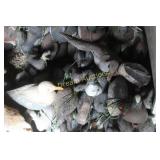 Puddle Ducks & Decoy Bag Puddle Ducks & Decoy Bag