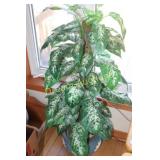 Faux Plant Faux Plant