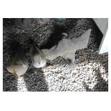2 Ducks & Seagull Decoys 2 Ducks & Seagull Decoys