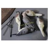 Pigeon Decoys Pigeon Decoys
