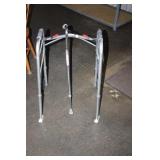 Ski Walker & Cane
