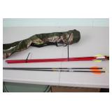 11 Aluminum Arrows & Quiver