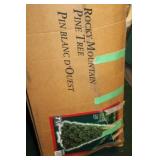 7.5FT Rocky Mountain Pine Christmas Tree