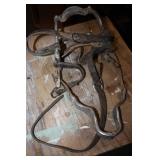 Horse Mouth Opener