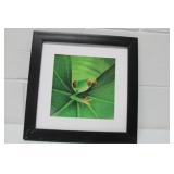 Images in Motion'Frog' 12x12
