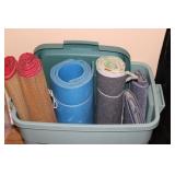 Beach Mats & More in Tote