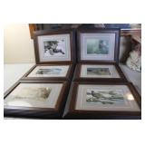 6 Framed Pictures 13x11