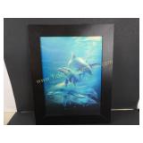 Lenticular Dolphin Framed Picture 19" x 15"