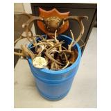 Barrel of Misc. Deer Antlers