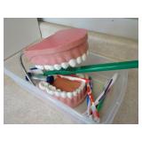 Teeth Brushing Demo Kit