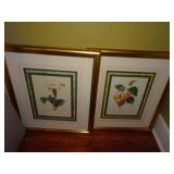 Lot of 2 Framed Flower Art Prints
