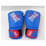 Everlast Prospect Boxing Gloves