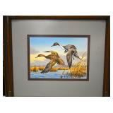 Ducks Unlimited