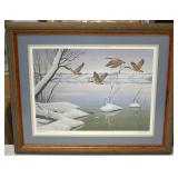 Ducks Unlimited