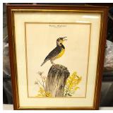 Don Whitlatch print