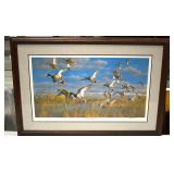 Ducks Unlimited