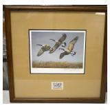 Ducks Unlimited
