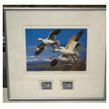 Ducks Unlimited