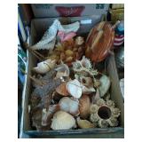 Group of Nautical deco