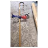 Walking cane and bat