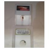 Group of 2. Authentic Mars Rock & Meteorite Space
