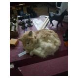 Very soft kitty. Some damage