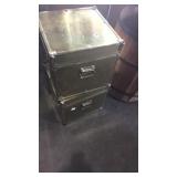 2 shinny storage boxes