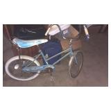 Sky queen bike