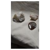 5 stones. 2 are fossilized snails that have been