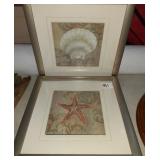 2 Shell Pictures 11x11 nice neutral colors