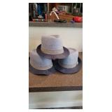 3 Young Child Hats by BABY CAT AND JACK. Size 0